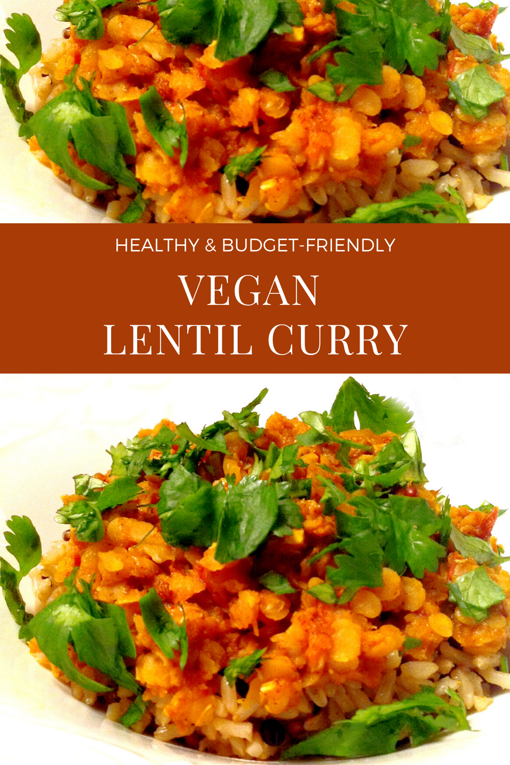 Vegan Lentil Curry - A hearty and healthy dinner ready to serve in under 30 minutes! via @thiswifecooks