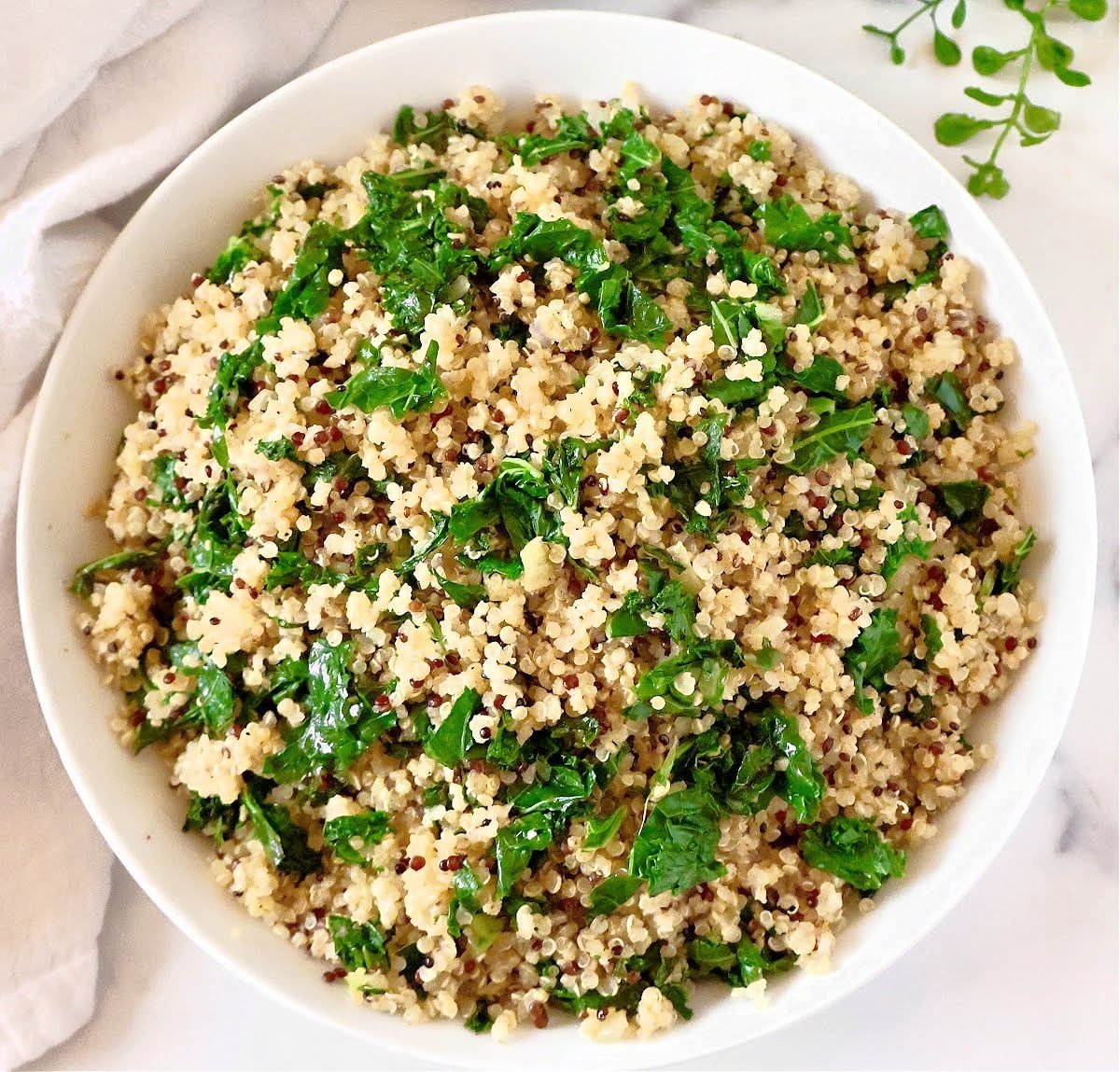 Quinoa and Kale ~ Warm kale salad featuring fluffy quinoa seasoned with zesty Creole spices.