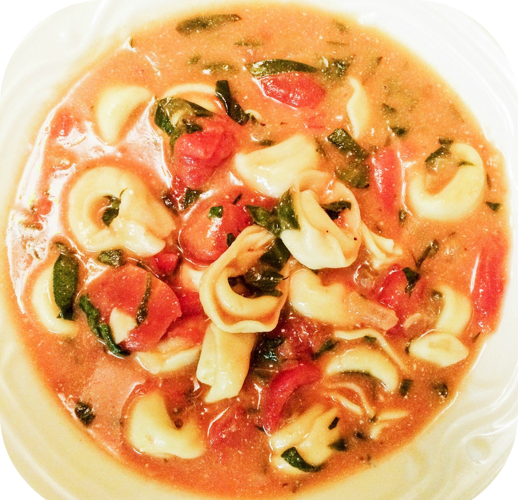 Tortellini Soup with Spinach and Tomatoes ~ A hearty and satisfying soup to warm you up on the coldest of days! via @thiswifecooks