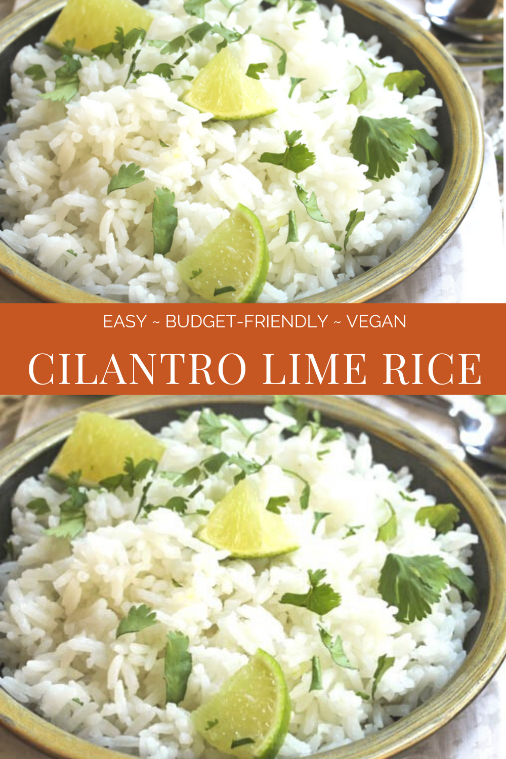 Cilantro Lime Rice - Simple and subtle... this easy rice side dish offers the perfect complement to bigger, bolder flavors such as those found in hearty and spicy Mexican and Indian dishes.

#cilantrolimerice #veganricerecipes ##veganmexicansidedishrecipe #veganindiansidedishrecipe #vegantexmexrecipe #thiswifecooksrecipes #plantbasedrice #veganquarantinecooking  via @thiswifecooks