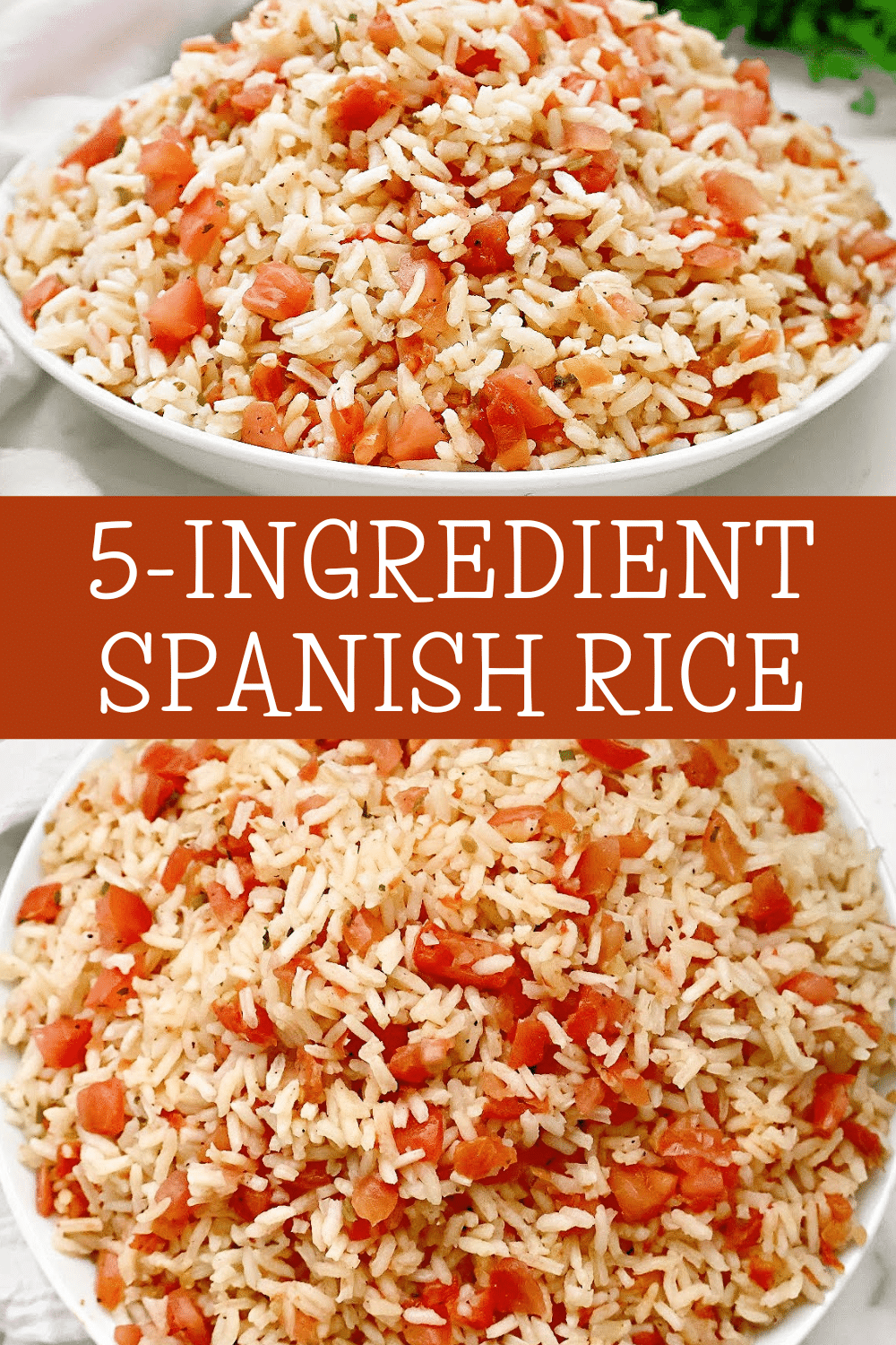 5-Ingredient Spanish Rice ~ A quick and easy side dish to complement your next Mexican dinner or Cinco de Mayo feast! Vegetarian or Vegan. via @thiswifecooks