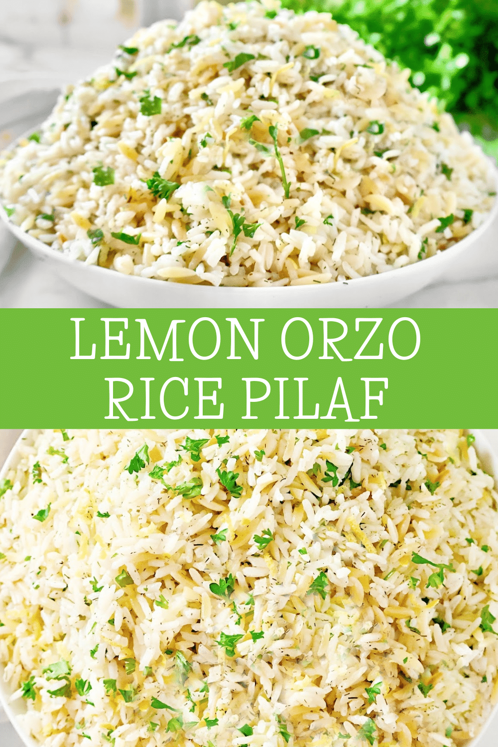 Lemon Orzo and Rice Pilaf ~ Orzo pasta and rice simmered in a lemon and dill-seasoned broth and topped with fresh parsley and lemon zest.  via @thiswifecooks
