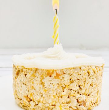 Birthday Cake For Your Cat ~ 4 simple ingredients are all you needed for a plant-based treat filled with your cat's favorite meaty flavors!