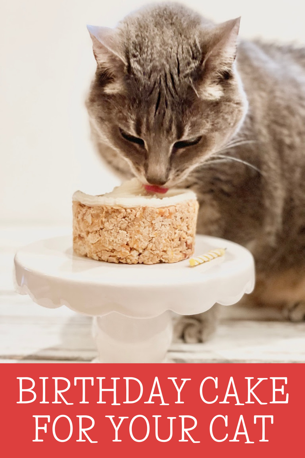 Birthday Cake For Your Cat ~ 4 simple ingredients are all you needed for a plant-based treat filled with your cat's favorite meaty flavors!  via @thiswifecooks
