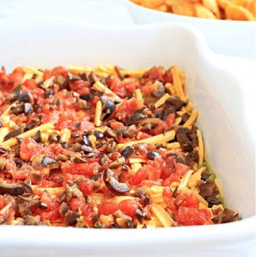 Vegan Tex Mex Dip ~ A classic party dip made with seven layers of dairy-free Tex Mex flavors! Serve this easy and colorful appetizer with corn chips and watch it disappear!