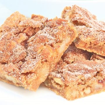 Apple Walnut Bars ~ These dairy-free bars are quick and easy to make. A delicious and fragrant fall dessert or afternoon snack!