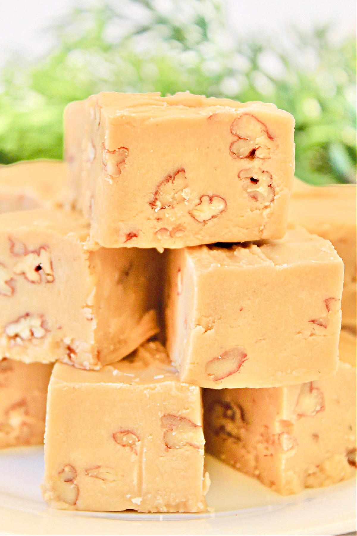 Praline Fudge Vegan Recipe This Wife Cooks™