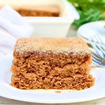 Snickerdoodle Cake ~ All the sweet cinnamon flavor of snickerdoodle cookies in a light and easy cake! Perfect for the holidays!