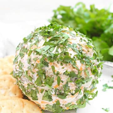 Green Chile Cheese Ball ~ This dairy-free and nut-free cheese ball is easy to make and loaded with savory Southwestern flavor!