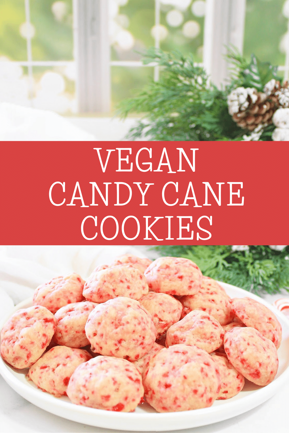 Vegan Candy Cane Cookies ~ Easy and festive candy cane cookies. Egg-free and perfect for the holiday season!  via @thiswifecooks