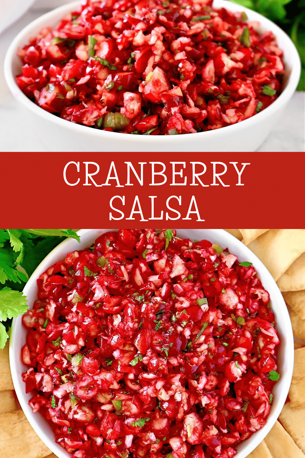 Cranberry Salsa ~ Sweet and spicy cranberry salsa is easy to make ahead and perfect for the holiday season!  via @thiswifecooks