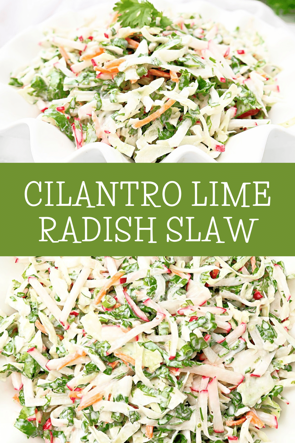 Cilantro Lime Slaw Radish Slaw ~ Easy green cabbage slaw with crunchy radishes and creamy cilantro lime dressing. via @thiswifecooks