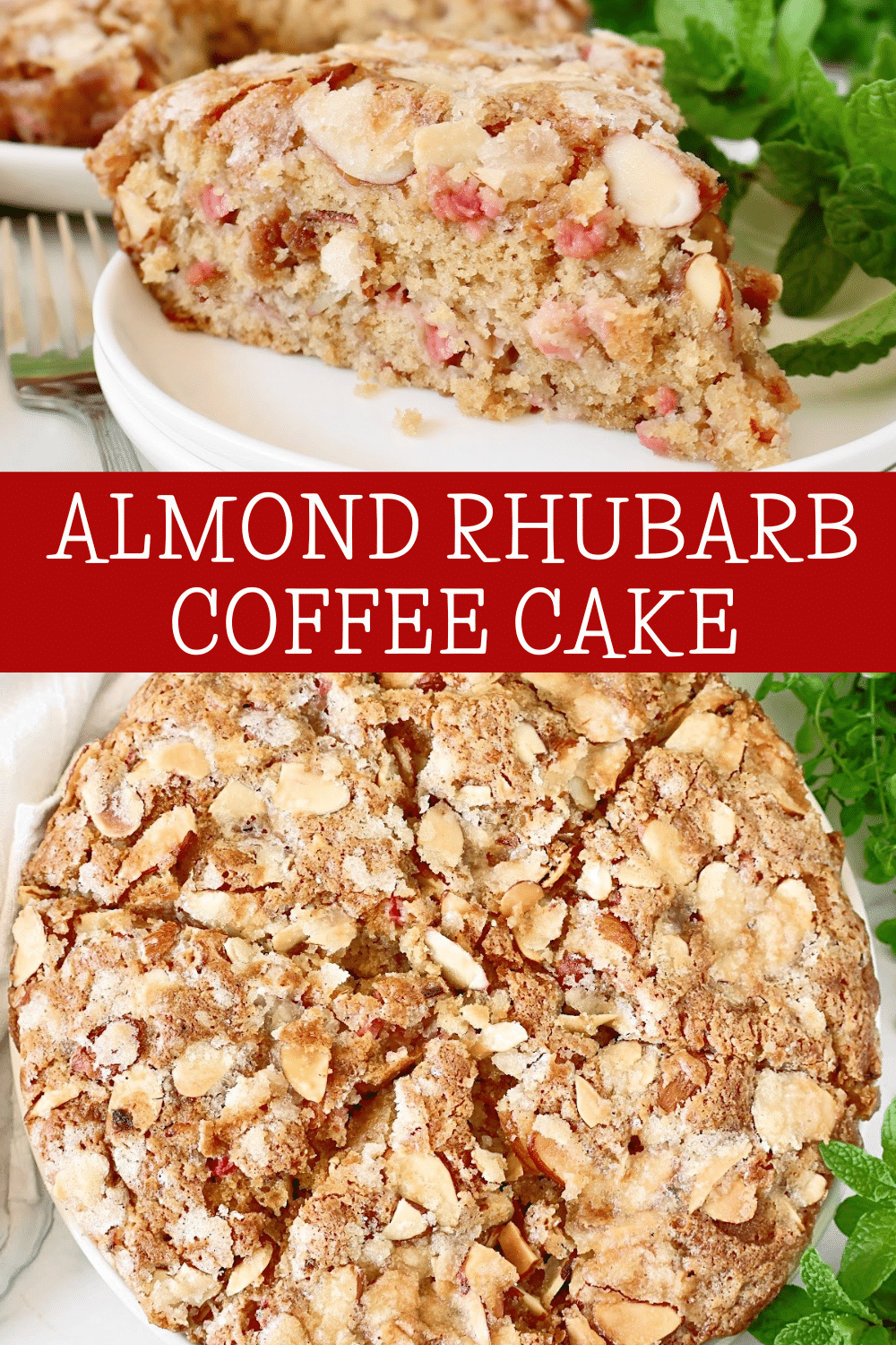 Almond Rhubarb Coffee Cake ~ Easy and rustic crumb cake studded with fresh rhubarb and sliced almonds. Egg-free recipe. via @thiswifecooks