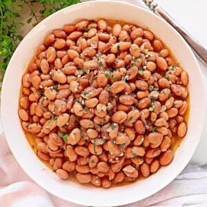 Seasoned Pinto Beans ~ Quick and easy recipe for dressing up canned beans with a savory blend of herbs and spices.