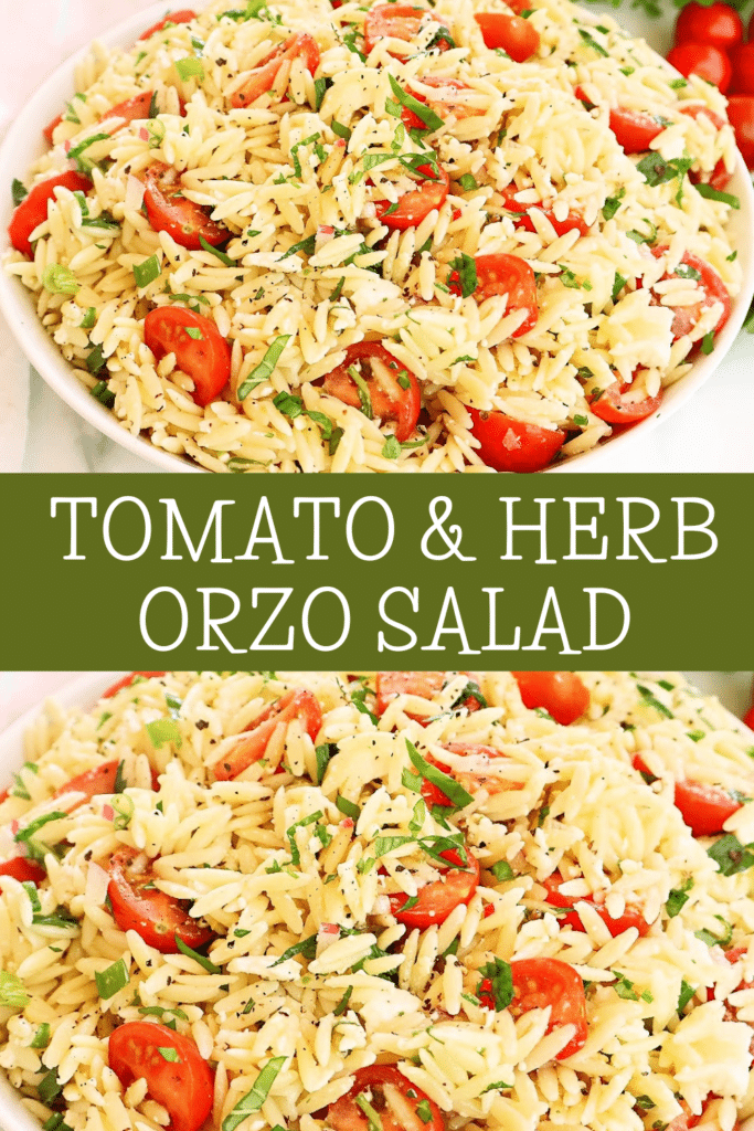 Tomato Orzo Salad ~ Quick and easy pasta salad with garden-fresh tomatoes and herbs in a light lemon dressing.