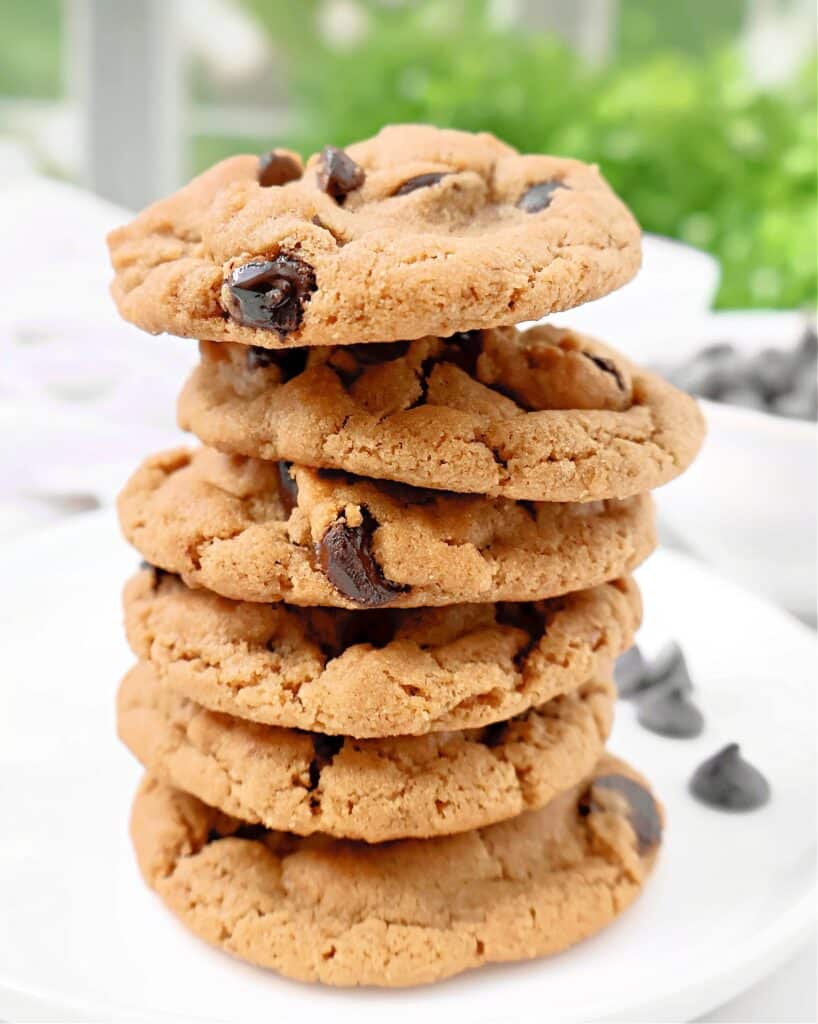 Almond Butter Chocolate Chip Cookies ~ Chewy and sweet almond butter cookies studded with dark chocolate. Dairy-free recipe.