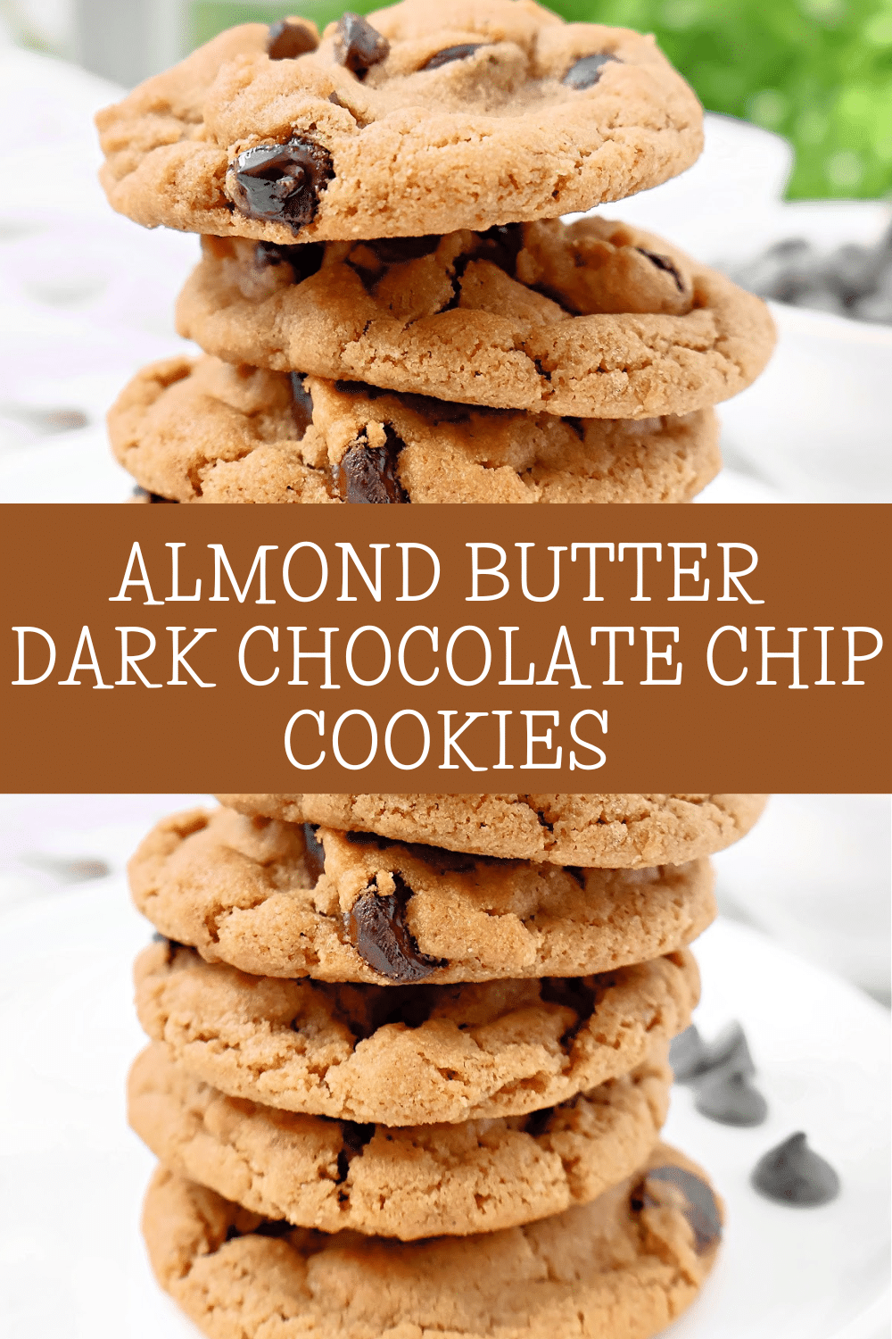 Almond Butter Chocolate Chip Cookies ~ Chewy and sweet almond butter cookies studded with dark chocolate. Dairy-free recipe. via @thiswifecooks