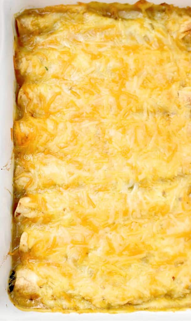 Green Chile Spinach Enchiladas ~ Cheesy enchiladas stuffed with green chiles and fresh spinach. Vegetarian or Vegan.