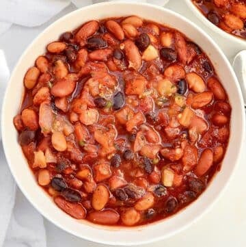 Salsa Bean Chili ~ A simple and satisfying chili with chunky salsa and two kinds of beans. Ready in under 30 minutes!