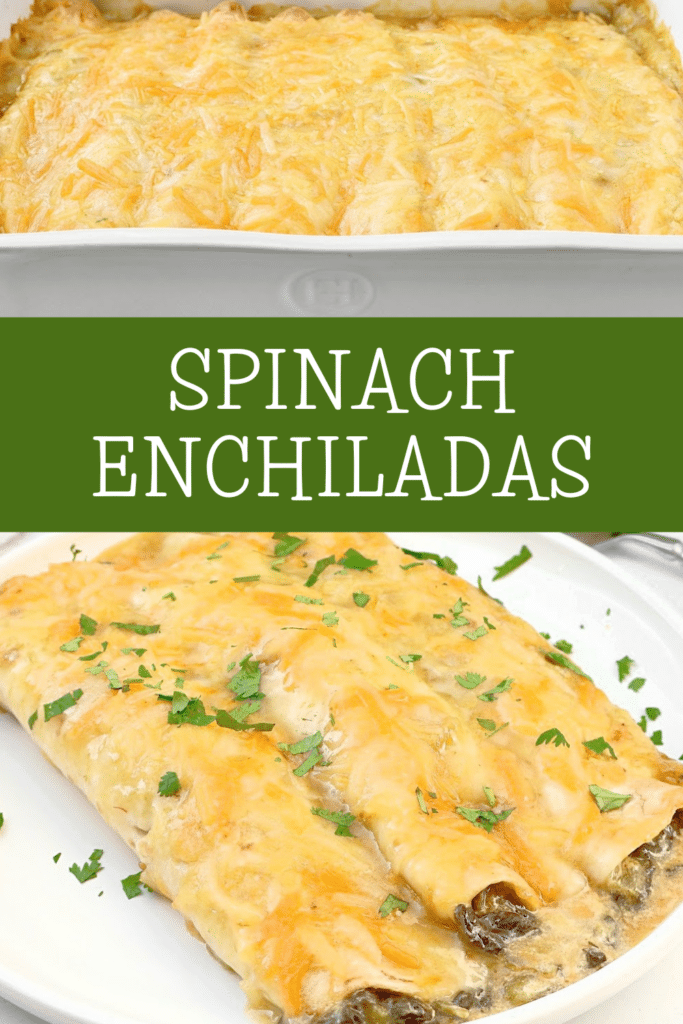 Green Chile Spinach Enchiladas ~ Cheesy enchiladas stuffed with green chiles and fresh spinach. Vegetarian or Vegan.