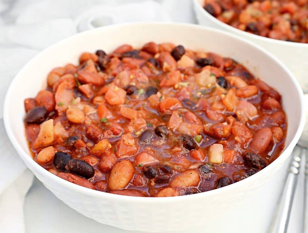 Salsa Bean Chili ~ A simple and satisfying chili with chunky salsa and two kinds of beans. Ready in under 30 minutes!