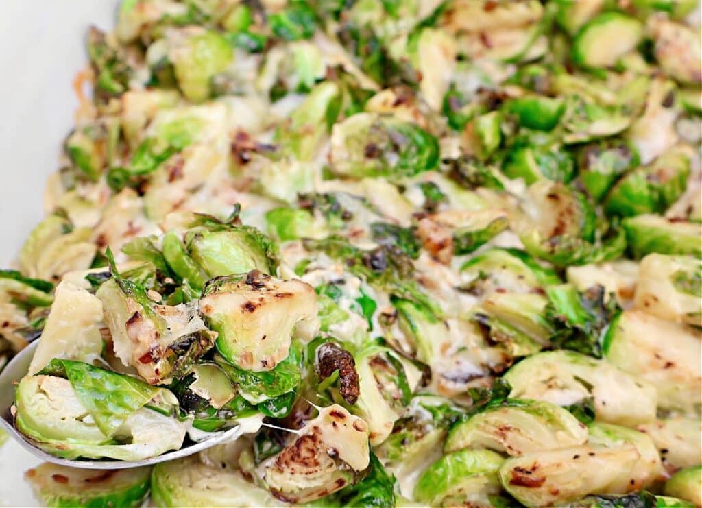 Brussels Sprouts Casserole ~ Savory side dish with fresh Brussels sprouts in a rich and creamy cheese sauce. Vegetarian or Vegan.