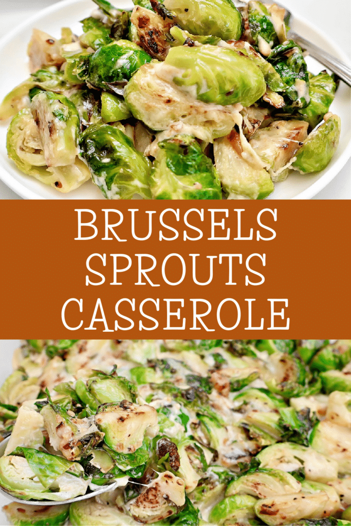 Brussels Sprouts Casserole ~ Savory side dish with fresh Brussels sprouts in a rich and creamy cheese sauce.