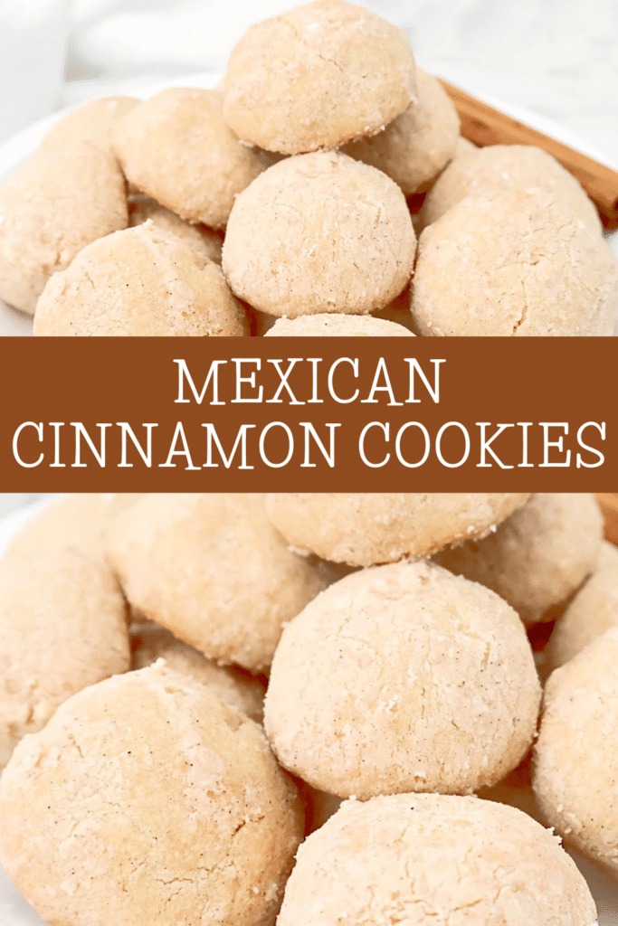 Mexican Cinnamon Cookies (Polvorones de Canela) ~ Easy to make, melt-in-your-mouth, cinnamon shortbread cookies.