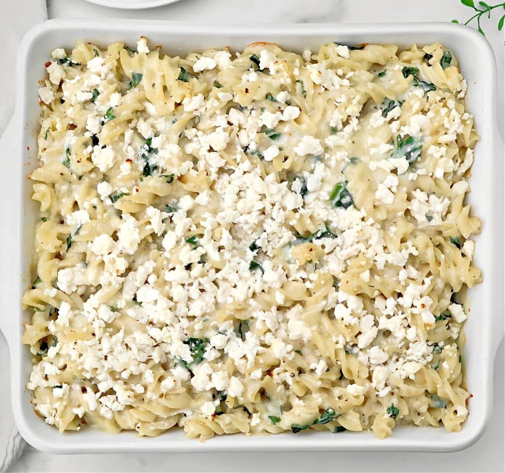 Cheesy Kale Pasta Bake ~ Tender pasta tossed with a creamy three-cheese sauce and fresh kale for an easy and comforting casserole.