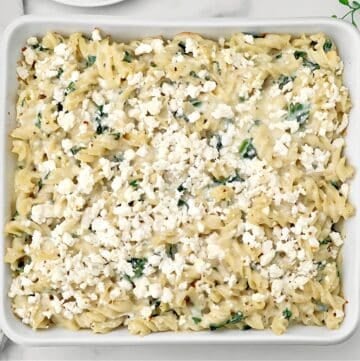 Cheesy Kale Pasta Bake ~ Tender pasta tossed with a creamy three-cheese sauce and fresh kale for an easy and comforting casserole.