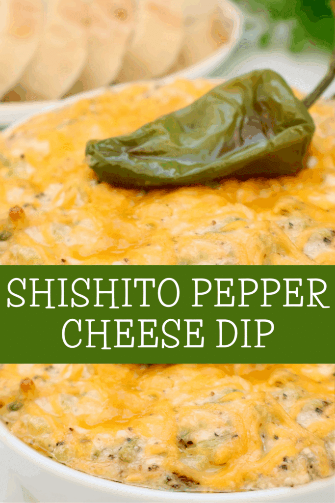A baked cheese dip topped with a whole shishito pepper, with melted cheese on top. Slices of bread are in the background. Text on the image reads Shishito Pepper Cheese Dip.