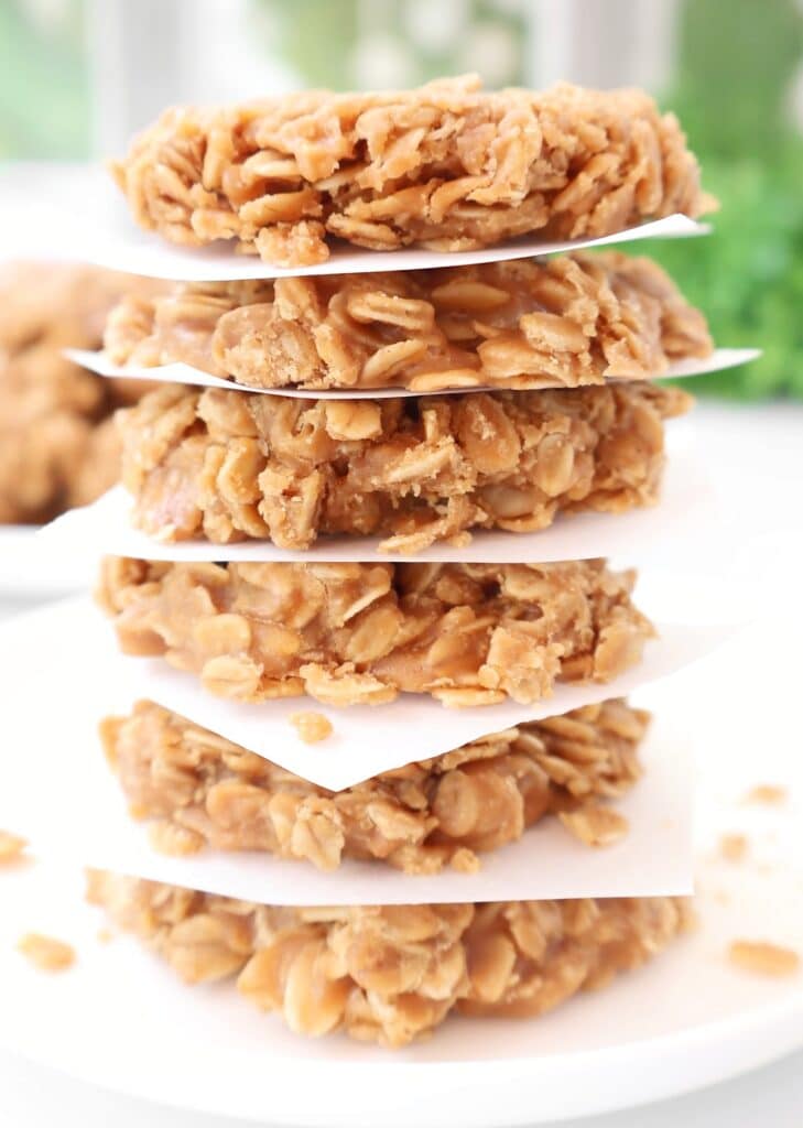 A stack of round, chewy oatmeal cookies separated by pieces of white parchment paper, with a blurred green and white background.