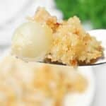 A close-up of a fork holding a bite of cheesy creamed onions topped with golden, crispy breadcrumbs. The background is blurred, showcasing a plate of creamy pearl onions and some green garnish.