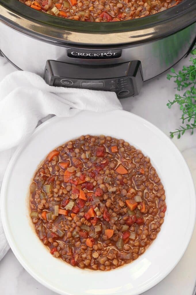 A white bowl filled with lentil soup containing diced carrots, celery, tomatoes, and onions sits on a white surface near a slow cooker with more soup inside. A white napkin and green plant are nearby.